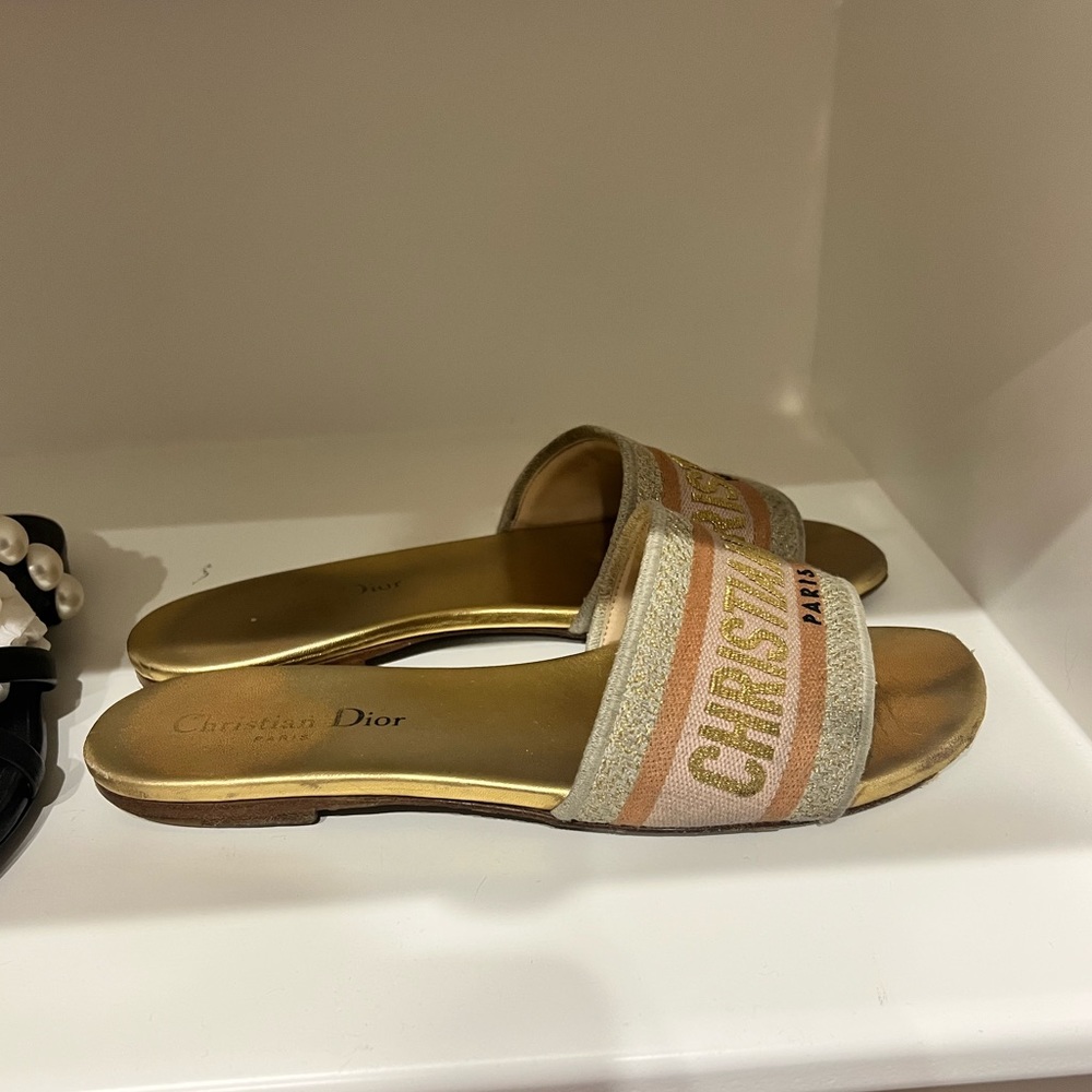 Christian Dior Dway slides